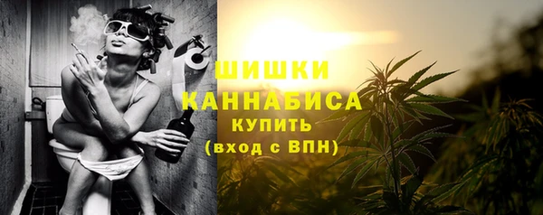 гидра Бородино