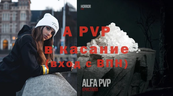 гидра Бородино