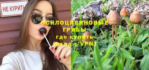 мяу мяу мука Богданович