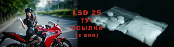 гидра Бородино