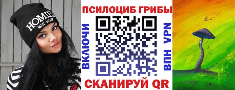 продажа наркотиков  сайты даркнета состав  Галлюциногенные грибы мухоморы  Ессентуки 